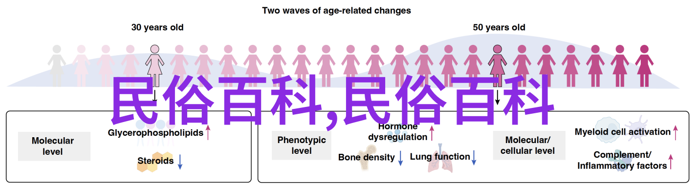 卡拉国与木雅王木雅卡拉洛柱之说