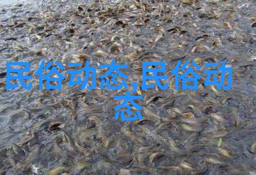 茶叶里的茶氨酸有什么作用